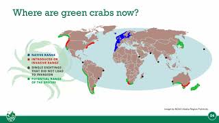 Discovery Speaker Series European Green Crab [upl. by Oicaro]