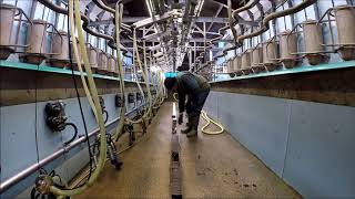 Milking parlour drain repairs [upl. by Corby]