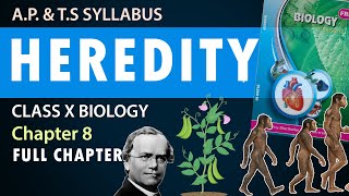 Class 10 heredity and evolution in Telugu 10th Biology Chapter 8  AP amp TS Syllabus  FULL CHAPTER [upl. by Stig]