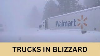 Semi Trucks and Cars Are Tightly Stuck in California Nevada Blizzard [upl. by Nimrahc76]