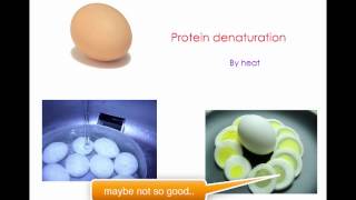 protein digestion and denaturation [upl. by Jary679]