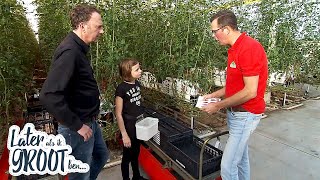 GROENE VINGERS DIE HEEFT ANNEJET WEL EEN DAG WERKEN IN DE TUINBOUW  Later als ik groot ben RTL4 [upl. by Gayleen]