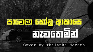 Pawela kodu akaseපාවෙලා කෝඩු ආකාසේCover byThilanka Herath [upl. by Rezzani]