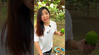 Amazing Fruit Farm  Beautiful Fresh Kiwi 🥝🥝 Harvesting with Rural Farmer shorts youtubeshorts [upl. by Nirrac]