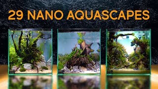 TwentyNine Of the Best Nano Aquascapes In America [upl. by Normy]