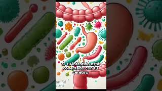 Cómo Mejorar tu Salud Digestiva con Probióticos y Prebióticos Guía Completa para el Intestino [upl. by Itoyj275]