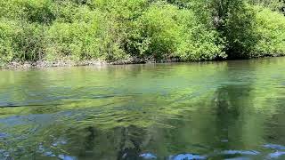 Cowichan River Fishing [upl. by Kyle221]