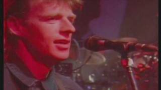 Runrig  City Of Lights Hearts Of Olden Glory Live At The Barrowland Ballroom [upl. by Acireit262]