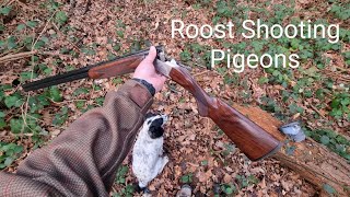 Roost Shooting Pigeons With Working Cocker Spaniel [upl. by Sel]