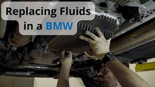 Replacing Differential Transmission and Brake Fluids in a BMW with Fast Lane European [upl. by Jessamine]