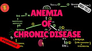 ANEMIA OF CHRONIC DISEASE Pathogenesis Diagnostic markers Treatment [upl. by Doubler]