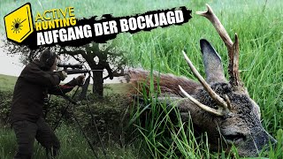 BOCKJAGD 2024 I Der abnorme und der Jährling I Roebuck hunting in Germany [upl. by Ahsieit]