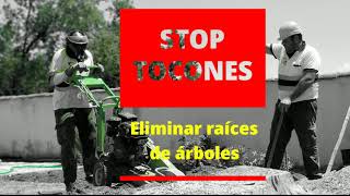 ❌STOP TOCONES  ELIMINAR RAÍCES DE ÁRBOLES👷‍♂️ [upl. by Anilos680]