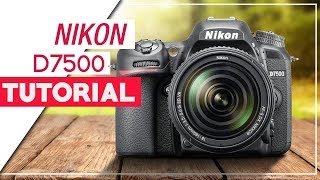 Nikon D7500 Tutorial  How To Setup Your DSLR [upl. by Belier85]