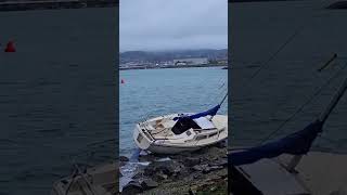 Anacortes20241101 Washed up on the Cap Sante Marinas Breakwater on 20241019 [upl. by Shulman]