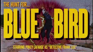 Pokey LaFarge  quotBluebirdquot Official Video [upl. by Feldman628]