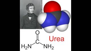 What is Urea [upl. by Nalniuq]