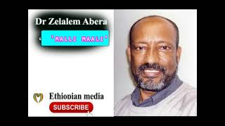 Zelalem Abera malli maali oromo poem [upl. by Attenol]