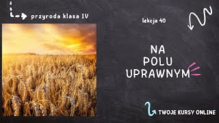 Przyroda klasa 4 Lekcja 40  Na polu uprawnym [upl. by Adnwahs204]