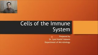 Cells of the immune system [upl. by Solon]