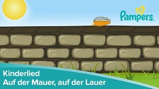 Auf der Mauer auf der Lauer Kinderlieder zum Anhören und Mitsingen  Pampers [upl. by Ainyt]