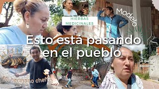 Varios días conmigo en el rancho  Plátanos al carbón  Tenemos hierbas medicinales en casa  Modelo [upl. by Etnaik809]