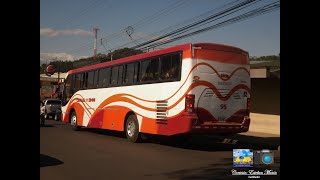 Daewoo Bus M2000 Doosan 340HP San José  Tabarcia  Palmichal x Corralar Ext Bajo Cerdas Ruta 145 [upl. by Jacobah]