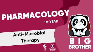 AntiMicrobial Therapy [upl. by Eisac833]