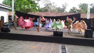 grupo de danza flor de caña presentacion directivos IOV en Costa Rica [upl. by Ennyrb]