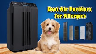 The best Air Purifier Winix 55002  The Ultimate Air Purifier for Allergy Sufferers [upl. by Pesvoh]