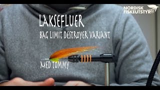 Bag limit destroyer [upl. by Flss]