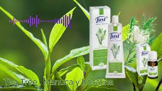 Tea Tree  Manuca y Rosalina podcast trata heridas hongos bacterias virus [upl. by Hgielrebma]