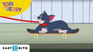 Tom și Jerry  La plimbare  Cartoonito [upl. by Anerual]