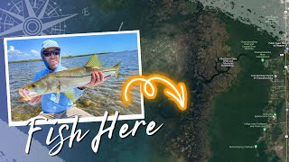 Fishing the Nature Coast for Snook Redfish and trout [upl. by Grimbly139]