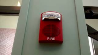 Fire Alarm Activation Due to Suppression System [upl. by Fanechka]