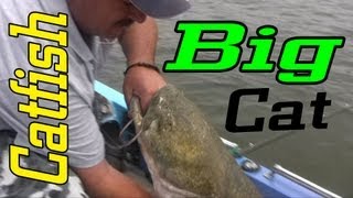 Big Flathead catfish caught on the Ohio river [upl. by Yraccaz587]