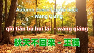 秋天不回来  王强 qiu tian bu hui lai Wang QiangChinese songs lyrics with Pinyin [upl. by Ring744]