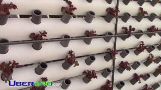 Vertical Linear Aquaponics 30 Short [upl. by Lewanna959]