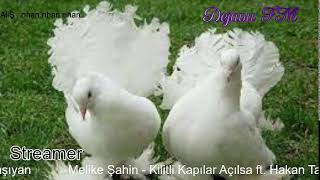 Dejavu🕊 FM • Canlı İstek Yayını  Online Radyo Dinle [upl. by Yragerg]