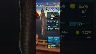 ace fishing gameplay [upl. by Ydahs]