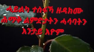 ሓይልካ ተስፋኻ ዘዳክሙ ሕማቅ ልምድታትን ሓሳባትን እንታይ እዮም [upl. by Nnaycnan]