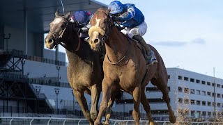 POSTER wins the G2 Remsen Stakes [upl. by Anaig]