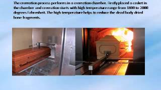 Steps For Cremation Process In Florida [upl. by Jennifer]