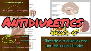 Antidiuretics in telugu [upl. by Yendirb155]