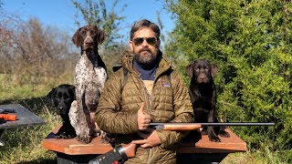 Labrador Retriever Training  Raising an Awesome Family Dog That Goes Hunting Sometimes [upl. by Kriste]