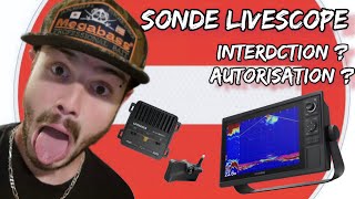 PÊCHE AU LIVE bientôt interdite  pas dinquiétude zéro problème avec les sonde live 😁 [upl. by Aggappora]