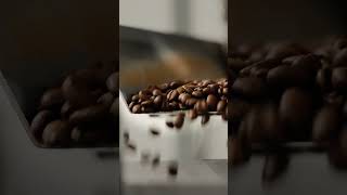 Inside Our Roastery A Coffee Lovers ASMR Journey [upl. by Ahsieym]