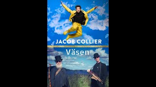 Jacob Collier amp Väsen [upl. by Crysta]