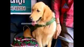 Dayana Ring Master fame in Trivandrum മനം കവര്‍ന്ന് ഡയാന [upl. by Hawkie]