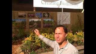 Biodynamic Farming Basics and How You can use them in Your Garden [upl. by Ajdan]